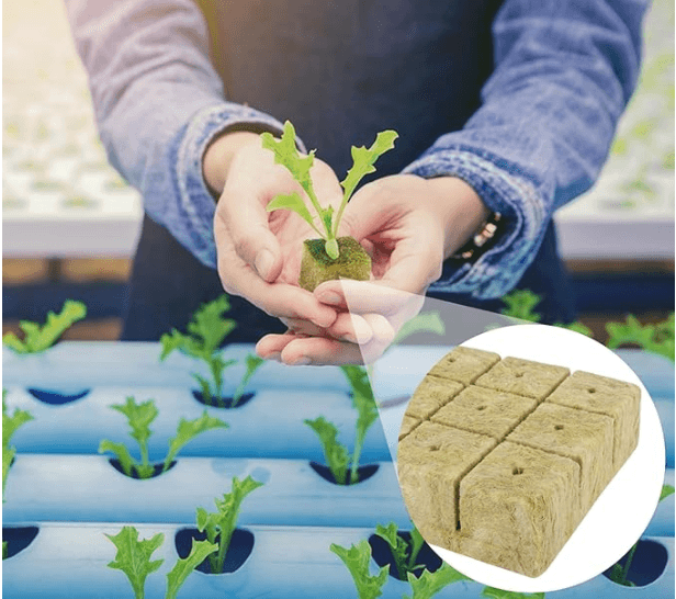 Doskonałe warunki do kiełkowania i wzrostu roślin dzięki PlantCore