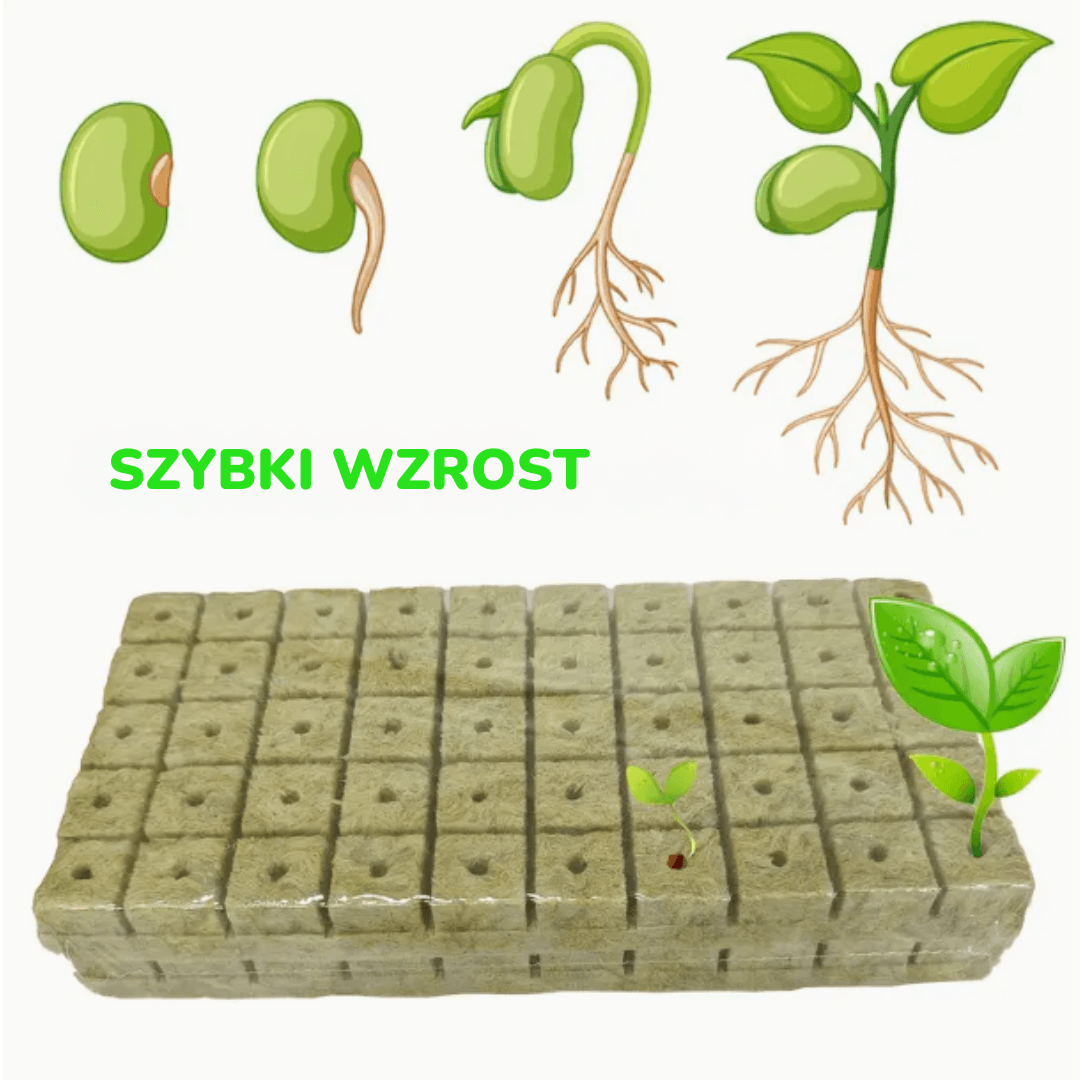 Doskonałe warunki do kiełkowania i wzrostu roślin dzięki PlantCore